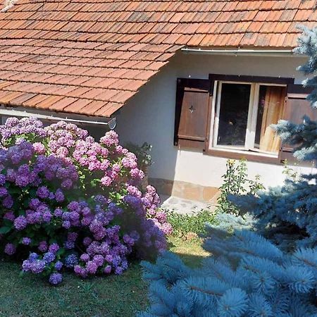 Apartman Nebojsa Rudnik Exteriér fotografie