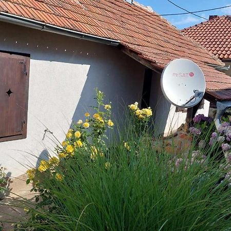 Apartman Nebojsa Rudnik Exteriér fotografie