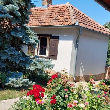 Apartman Nebojsa Rudnik Exteriér fotografie