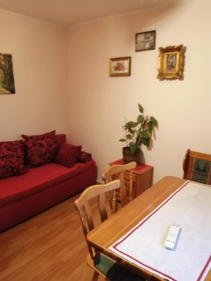 Apartman Nebojsa Rudnik Exteriér fotografie