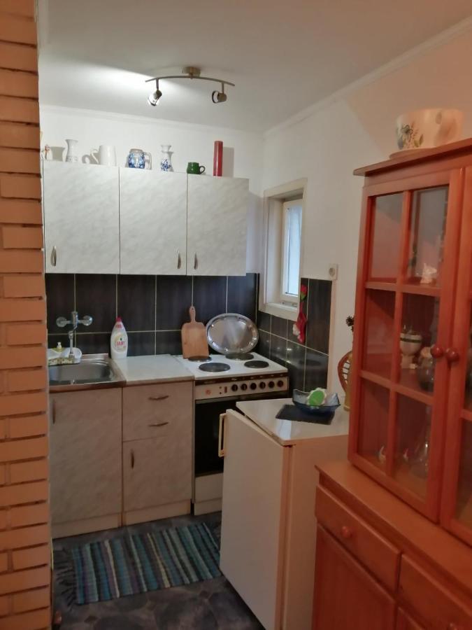 Apartman Nebojsa Rudnik Exteriér fotografie