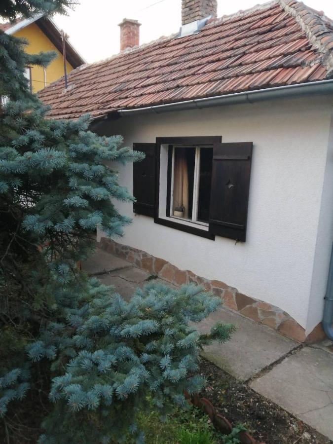 Apartman Nebojsa Rudnik Exteriér fotografie