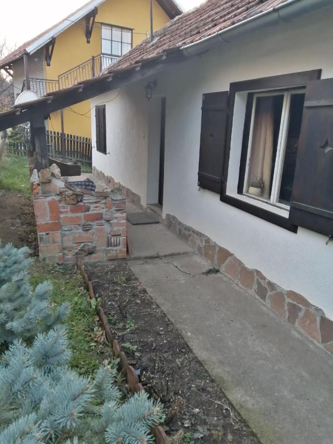Apartman Nebojsa Rudnik Exteriér fotografie