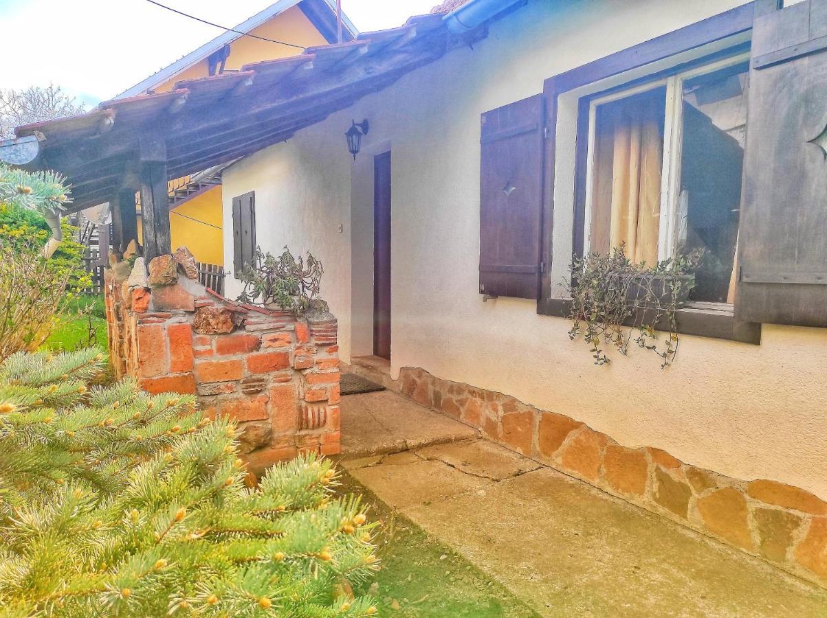 Apartman Nebojsa Rudnik Exteriér fotografie