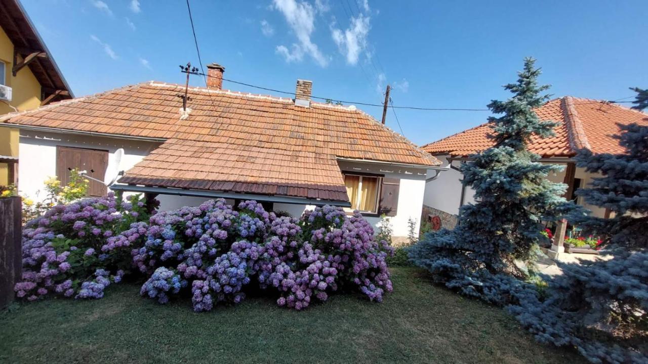 Apartman Nebojsa Rudnik Exteriér fotografie