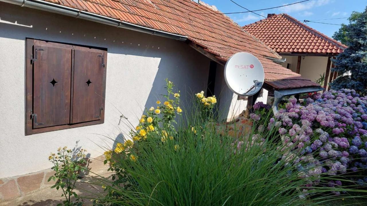Apartman Nebojsa Rudnik Exteriér fotografie
