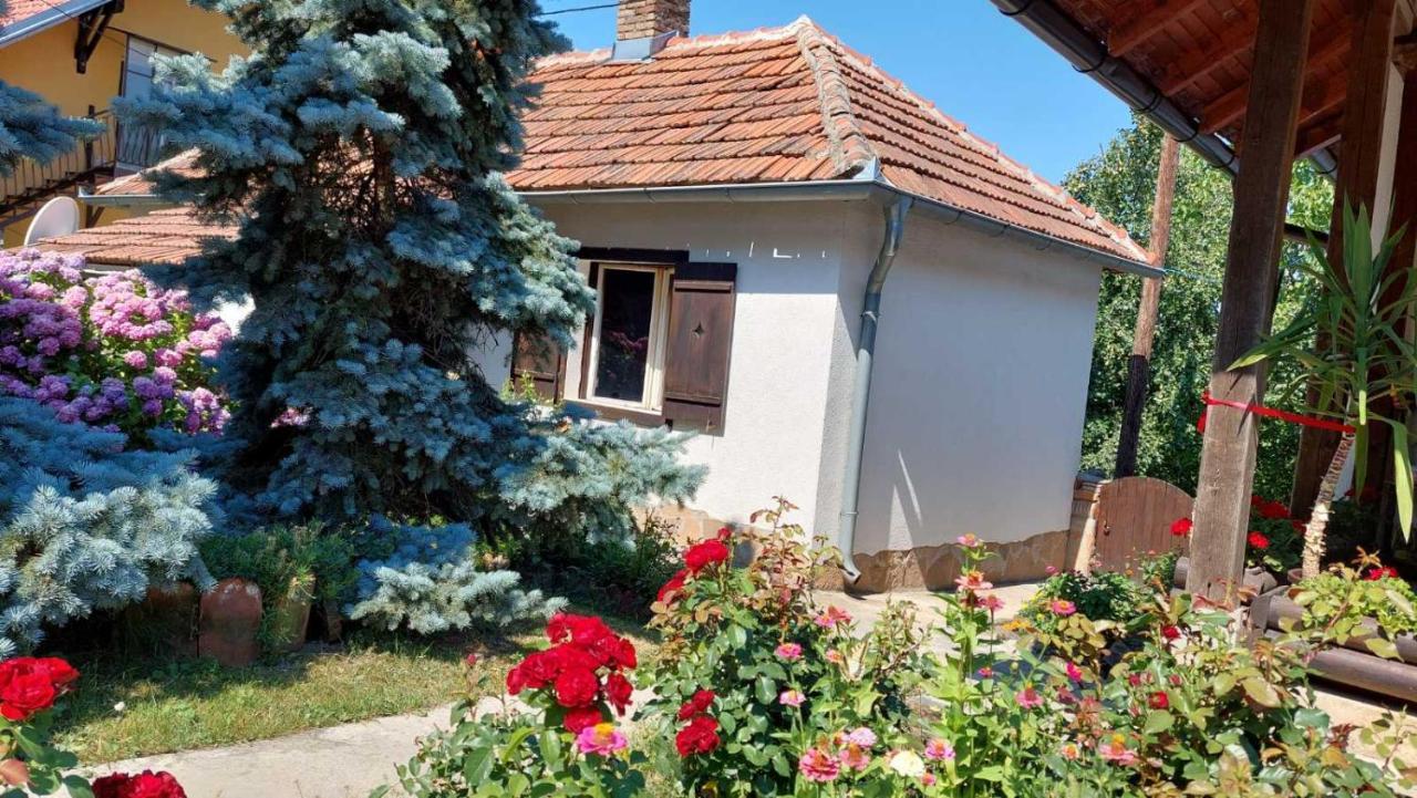 Apartman Nebojsa Rudnik Exteriér fotografie