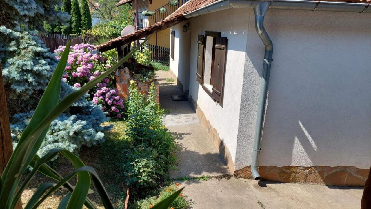 Apartman Nebojsa Rudnik Exteriér fotografie
