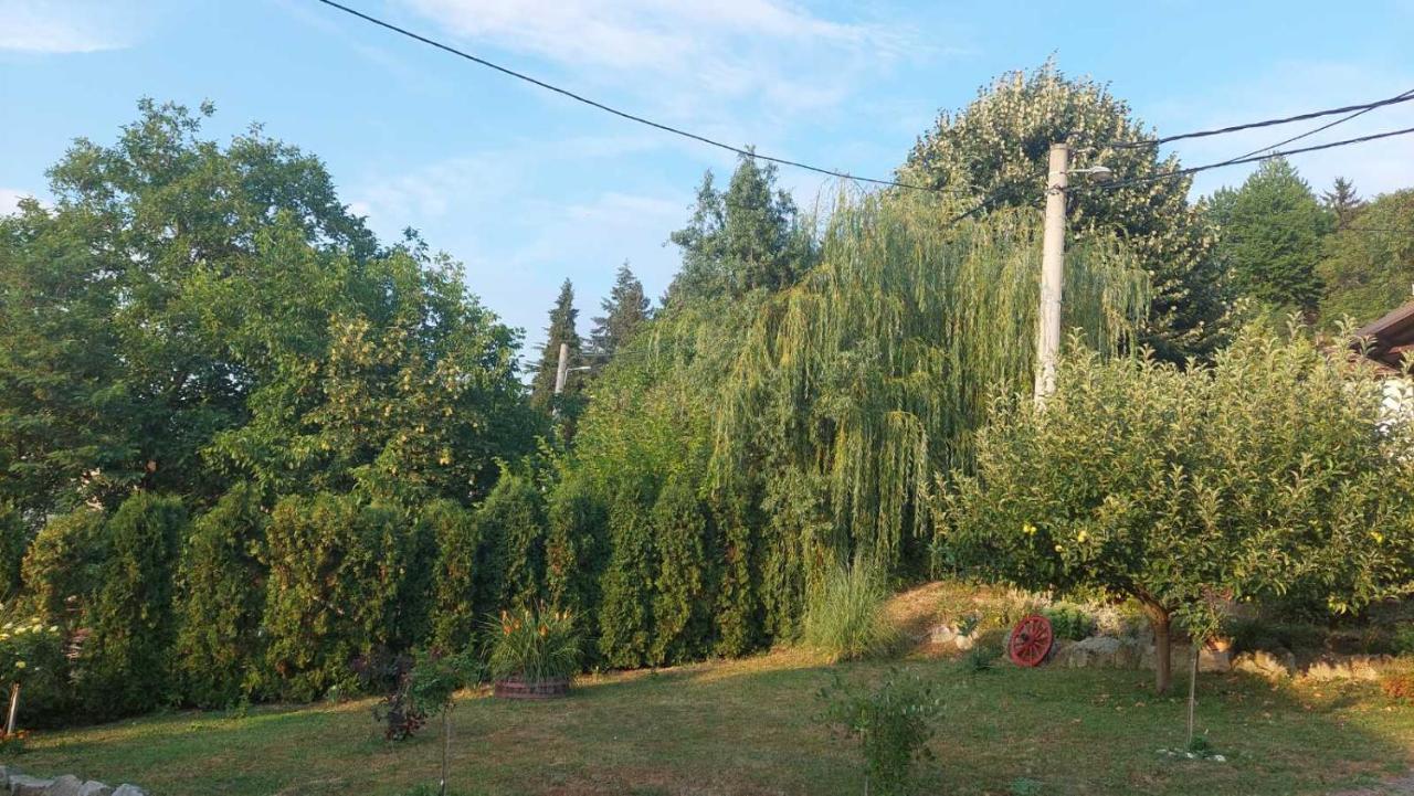 Apartman Nebojsa Rudnik Exteriér fotografie