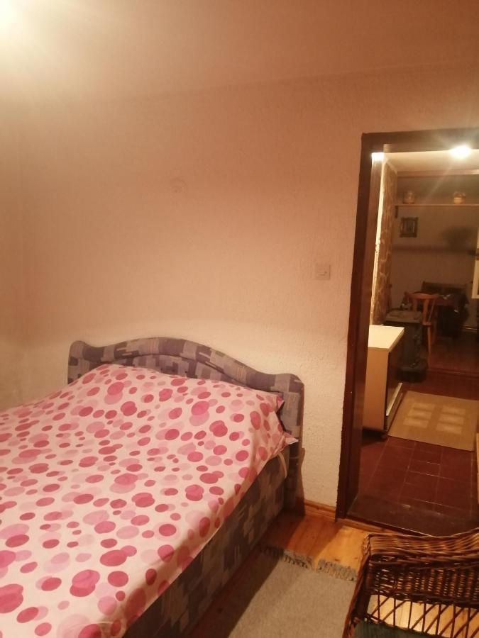 Apartman Nebojsa Rudnik Exteriér fotografie