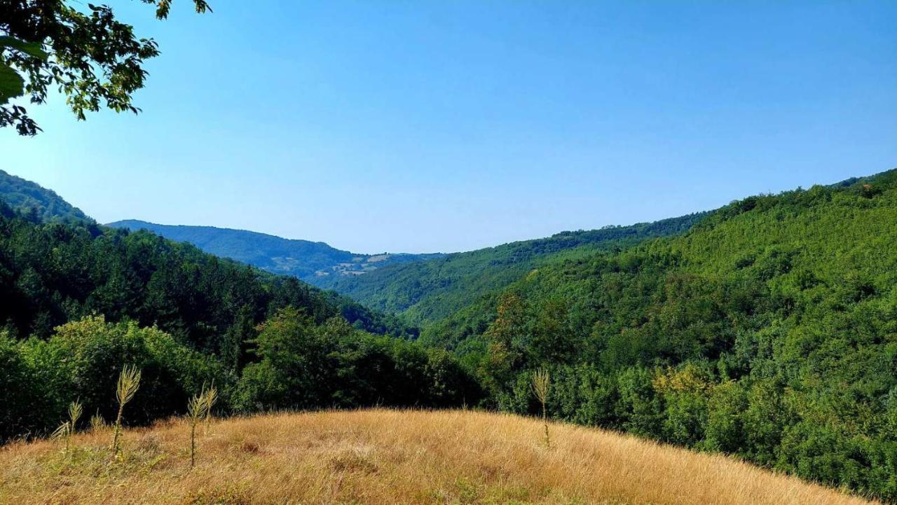 Apartman Nebojsa Rudnik Exteriér fotografie