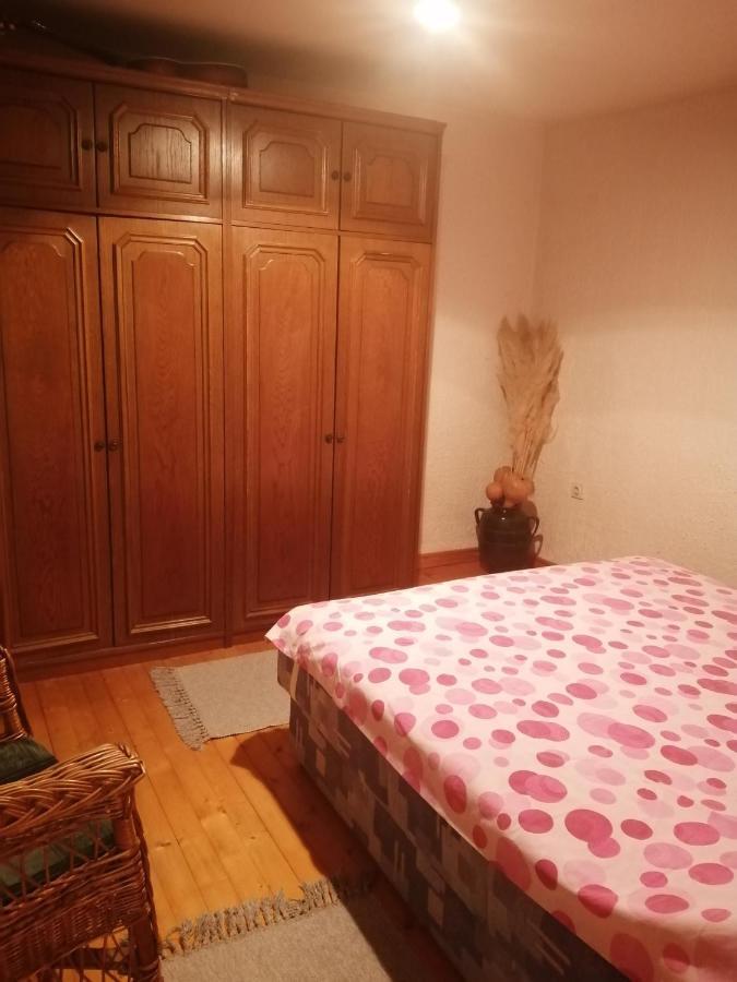 Apartman Nebojsa Rudnik Exteriér fotografie